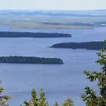 Koivuniemi