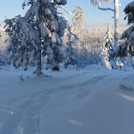 Koivuniemi 木屋 Kolinkylä