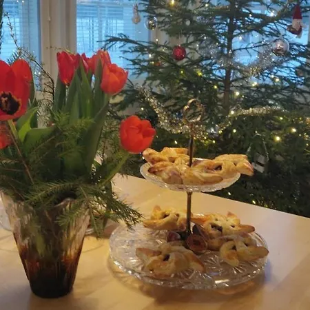 Koivuniemi Kolin kylä