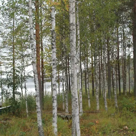 Lake Koivuniemi Chalet *
