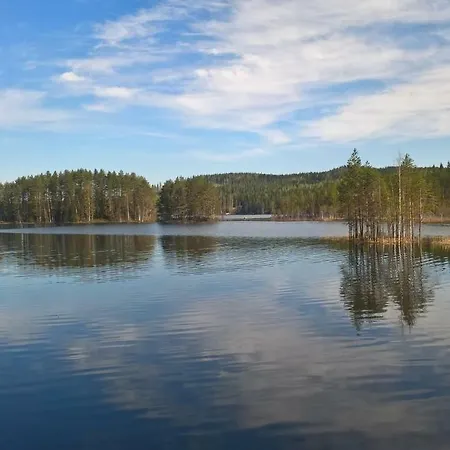Lake Koivuniemi Chalet *