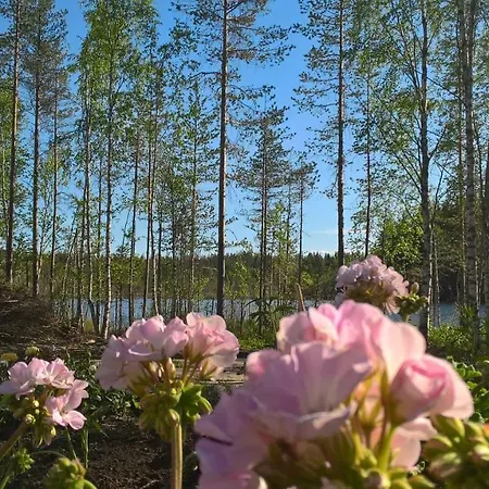 Koivuniemi * Kolinkylä